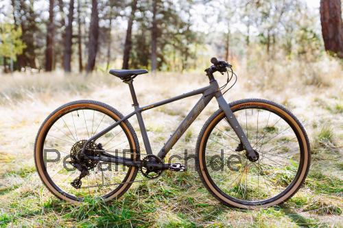 Fuji Thrill  technische daten 